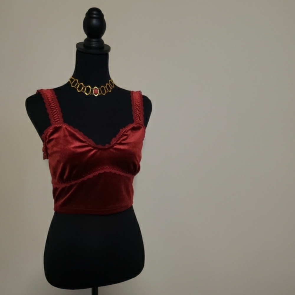 NWT 🔮🎃 Witchy Velvet Crop Tank